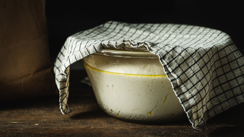 bread dough proofing in bowl