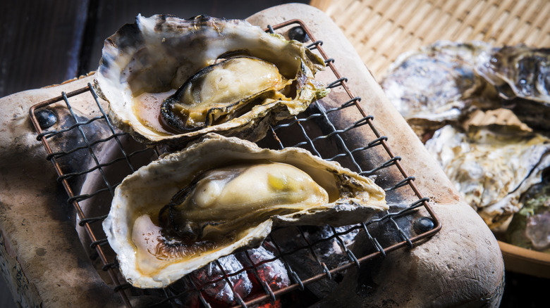 Oysters cooking over charcoal grill