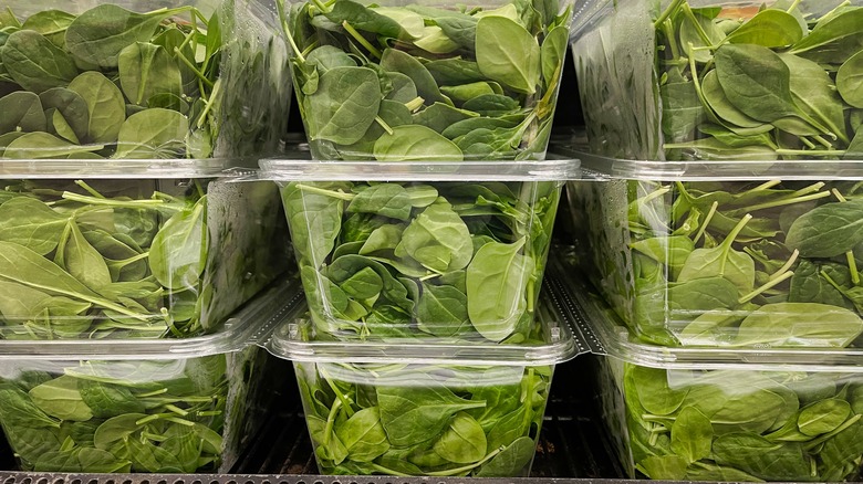 Stacked boxes of spinach