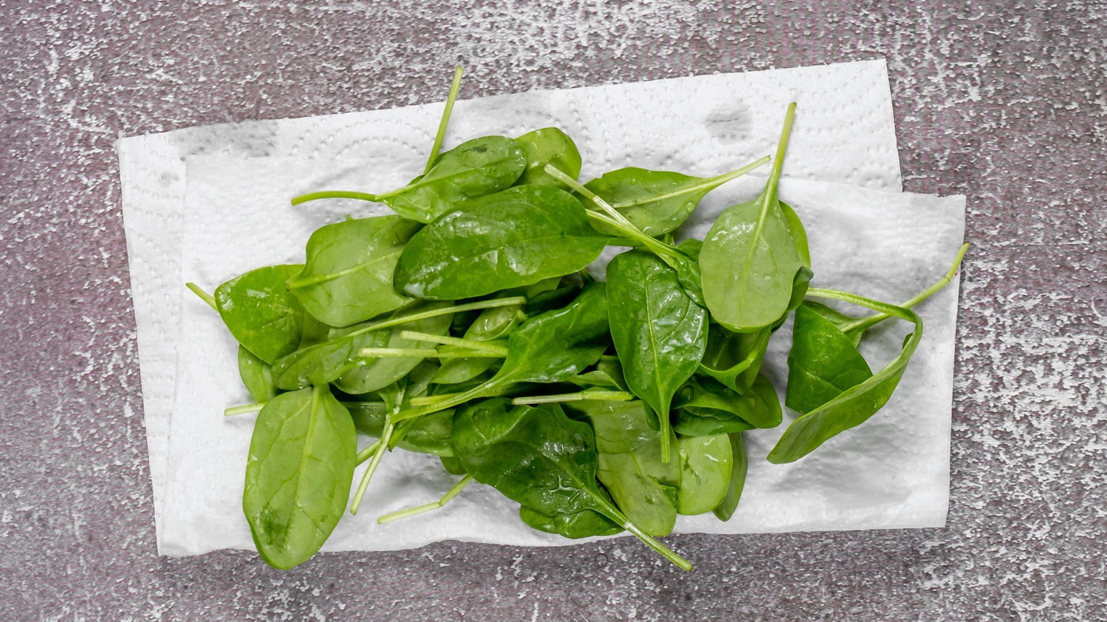 Paper towels are essential for storing spinach long term