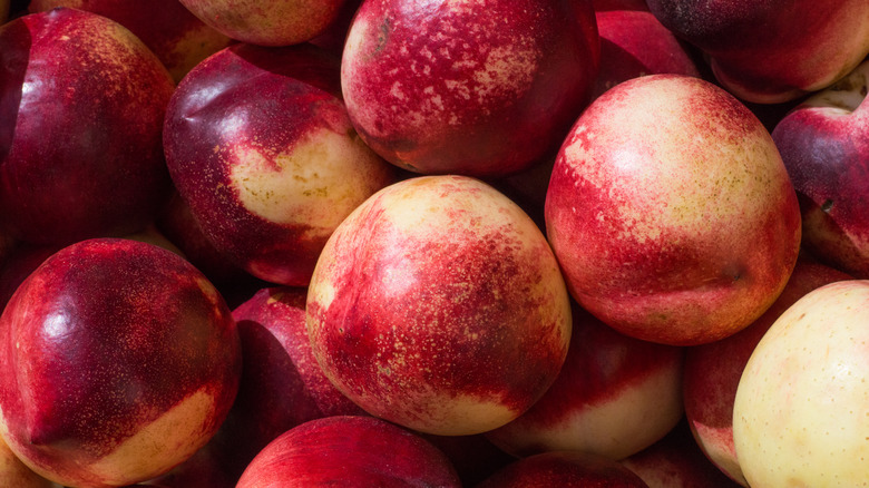 group of ripe nectarines