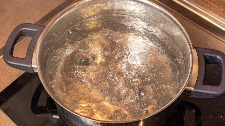 boiling water on stovetop