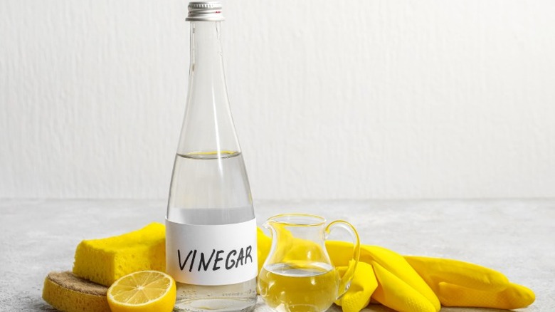 Lemons, vinegar, and cleaning gloves on counter