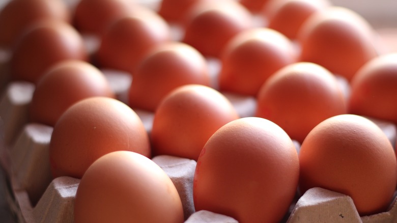 brown eggs in tray