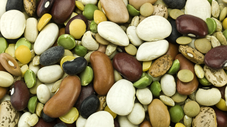 assortment of dried beans