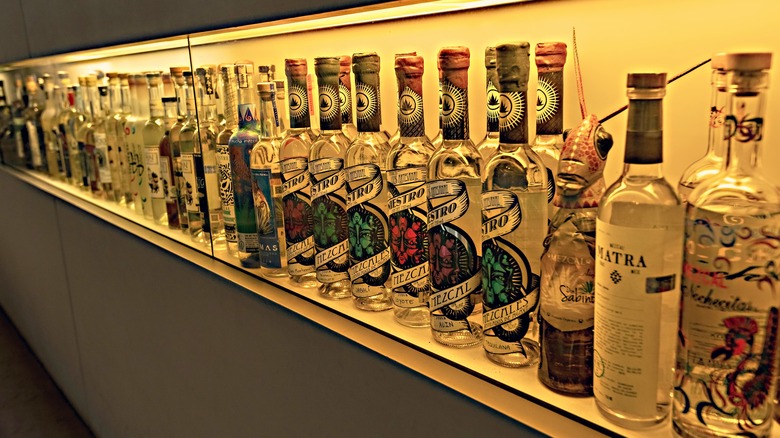 Bottles of tequila 