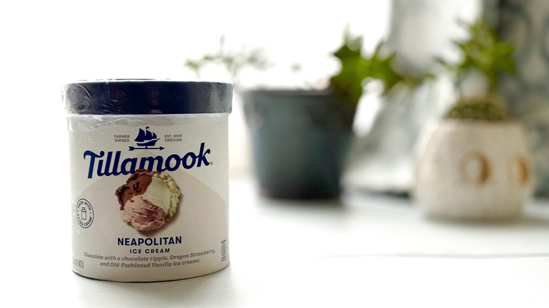 Tillamook chocolate ice cream on counter