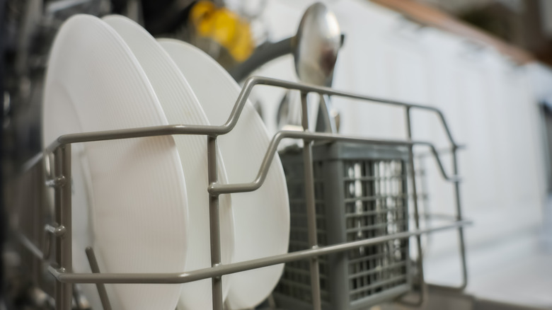 Clean dishes