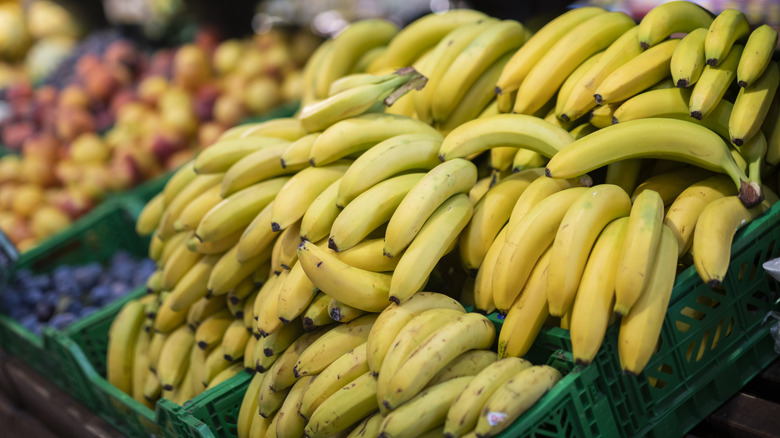 Bananas at a market