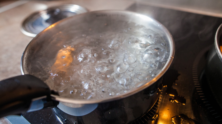 Boiling water in a pot