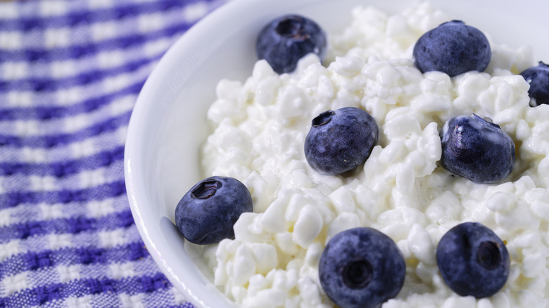 cottage cheese with blueberries