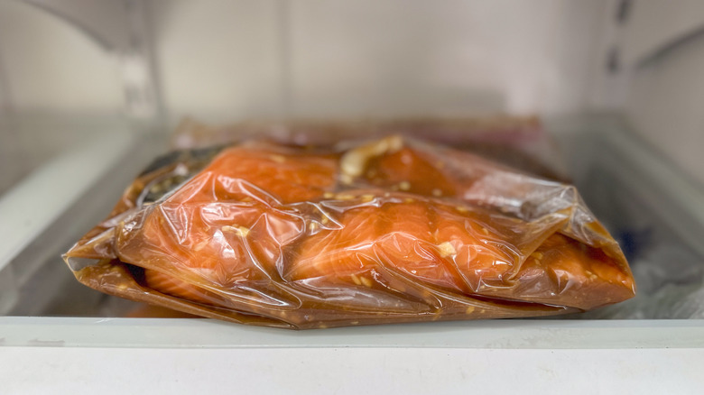 Salmon fillets in miso maple marinade in ziplock bag