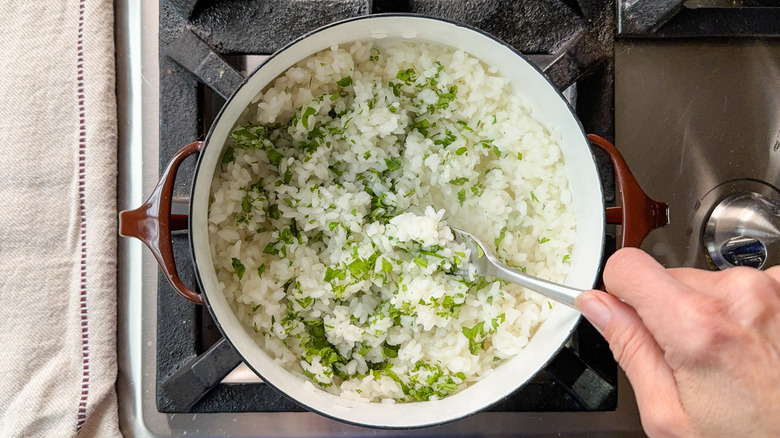 Stirring chopped cilantro into cooked white rice in pot on stovetop with fork