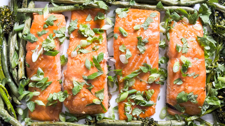 Roasted miso maple salmon with scallion and cilantro garnish