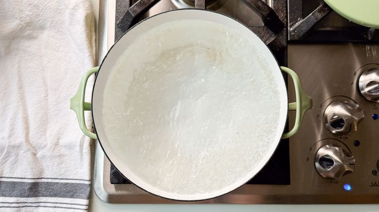 Water boiling in pot on stovetop