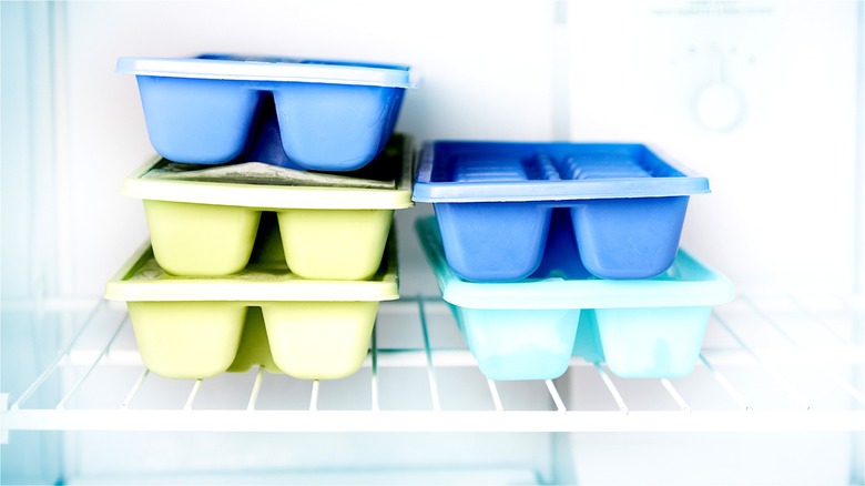 ice cube trays in freezer