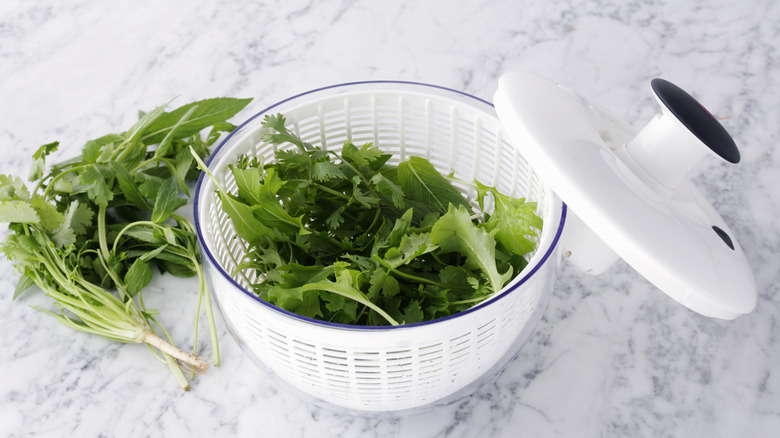 Salad spinner full of fresh greens