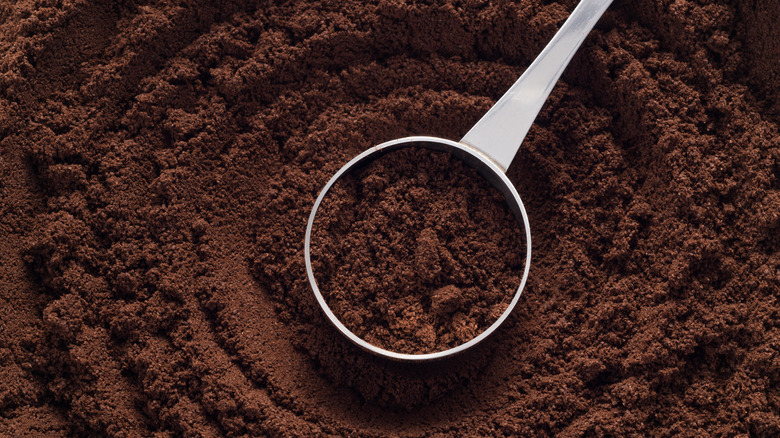 Coffee grounds and scooper