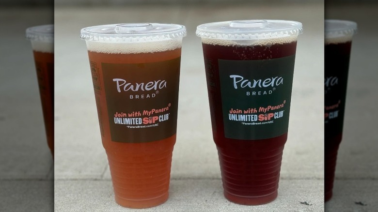 two Panera plastic cups labeled Sip Club filled with coffee