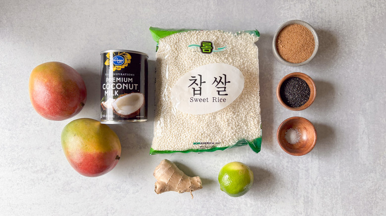 Shortcut mango sticky rice ingredients on countertop