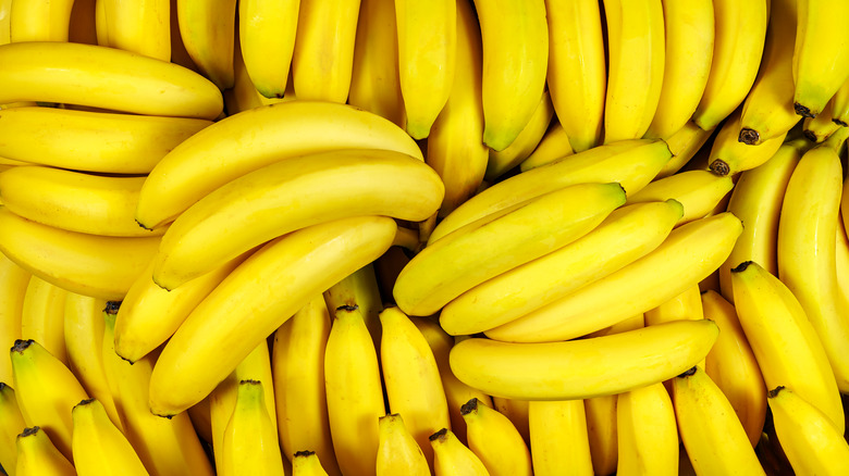 Bunches of yellow bananas