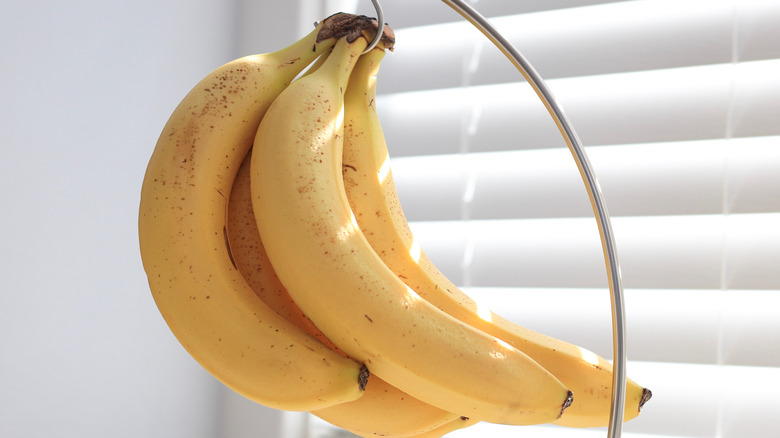 Yellow bananas on a hook