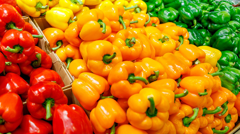 variety of bell peppers