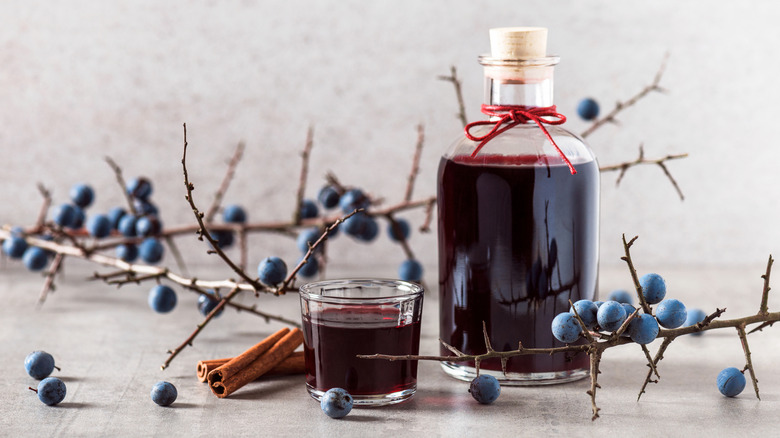 bottle and glass of sloe gin with cinnamon sticks and sloe