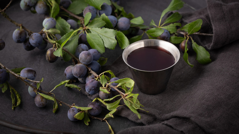 sloe berries and sample of sloe gin