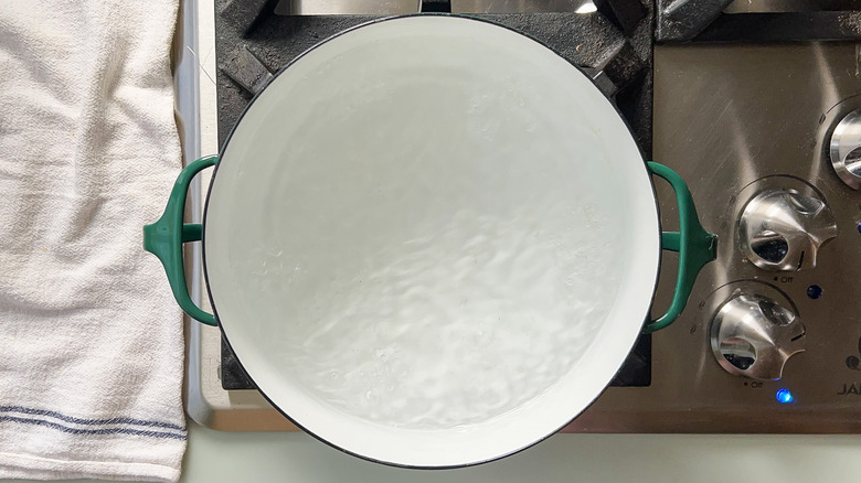 Water boiling in pot on stove