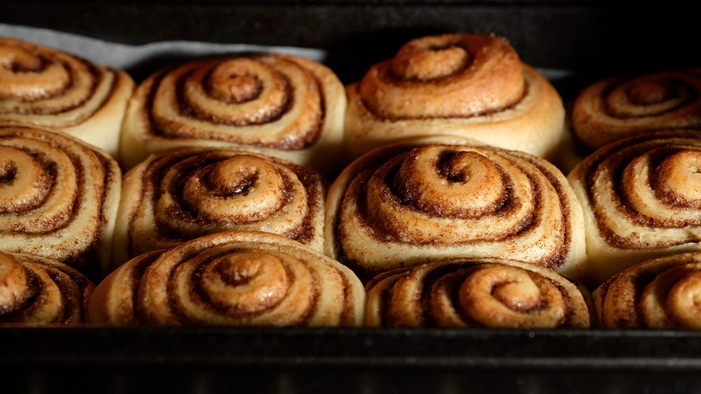 Close Up of Cinnamon Roles Baking in Oven