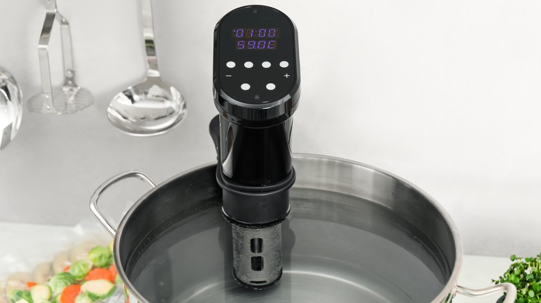 sous vide circulator in water bath