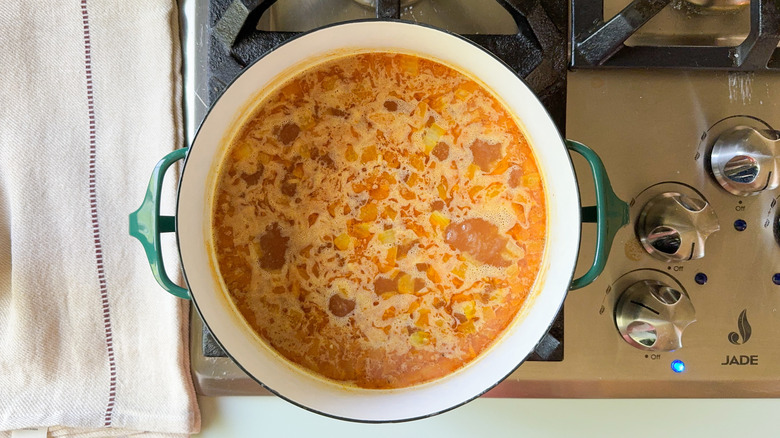 Onion and spices simmering in chicken broth in large pot on stovetop