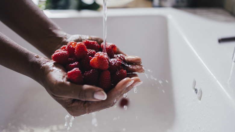Woman washing berries