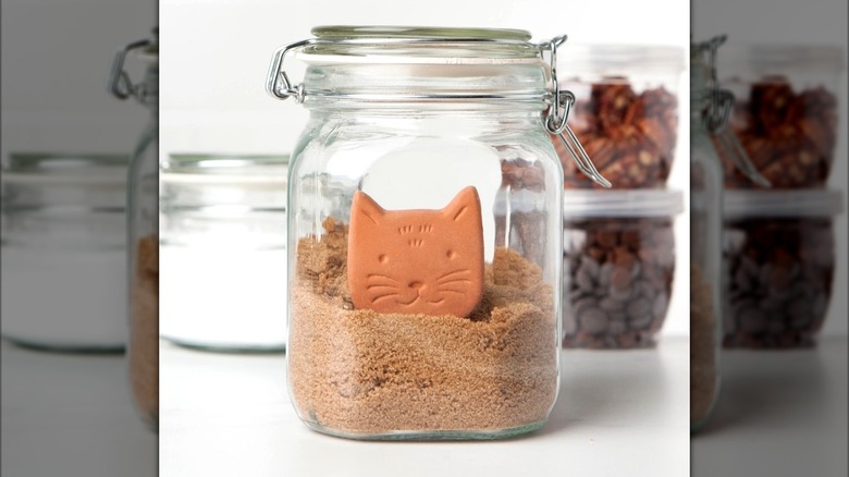 Cat shaped terracotta sugar saver in jar of brown sugar