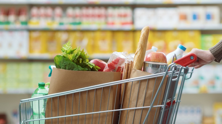 Grocery cart full of bags