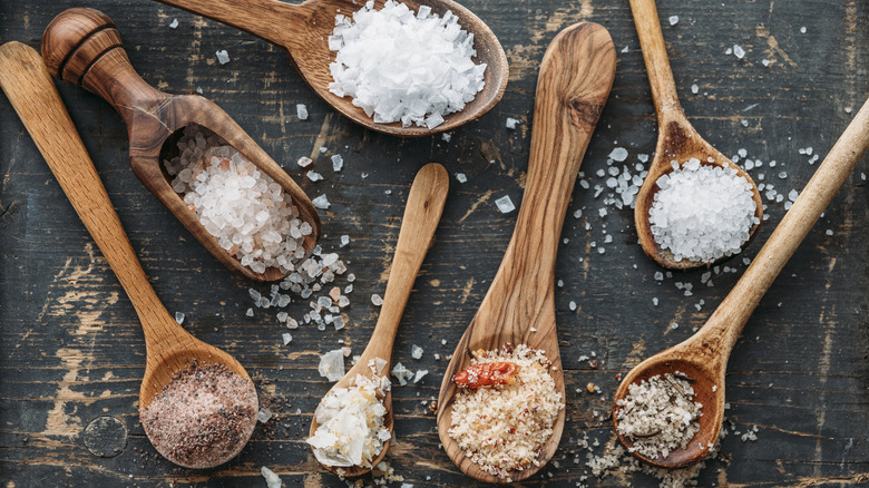 Spoonful of different salt types.