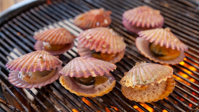 Clams on a barbecue