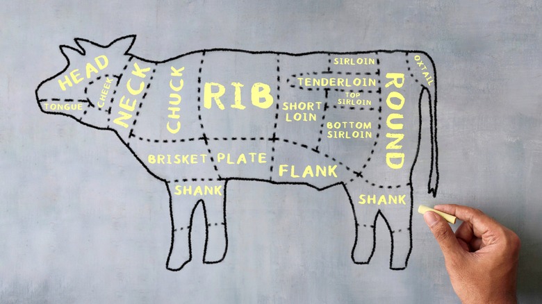 butcher beef cuts drawn on chalkboard