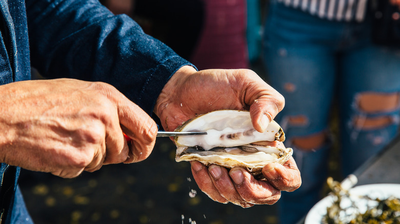 A person shucking an oyster