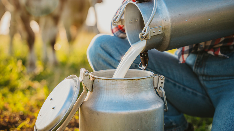 Person pouring raw milk