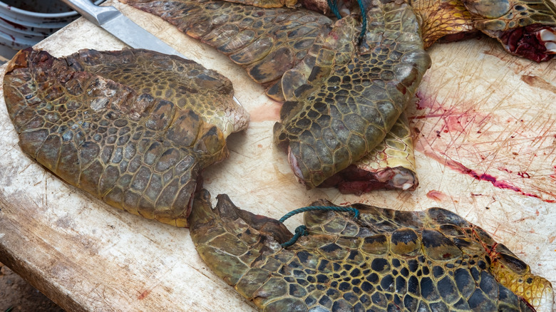 Turtle meat on cutting board