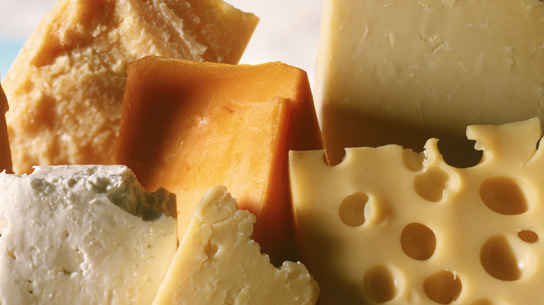 Several varieties of cheese up close