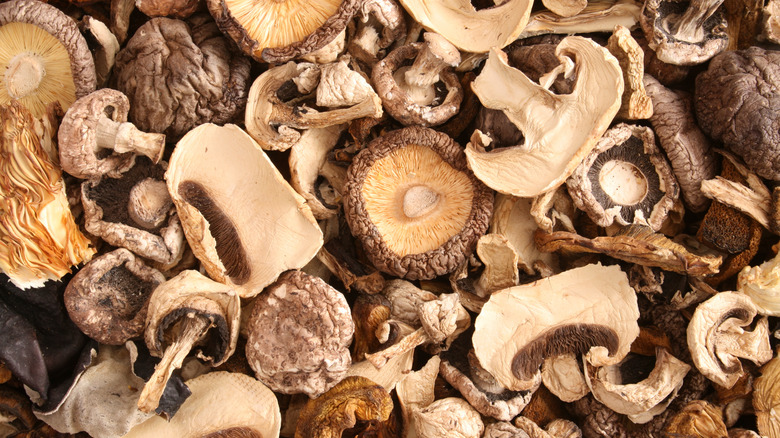 Aerial view of dried mushrooms
