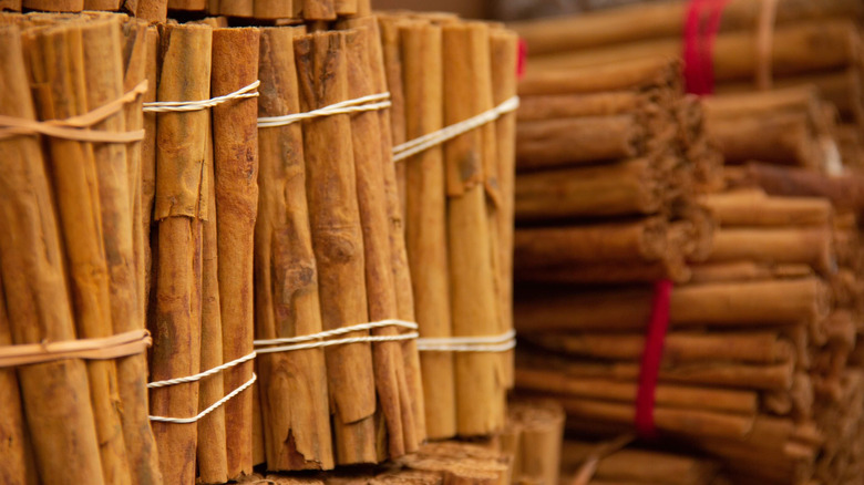 Mexican cinnamon sticks tied with string