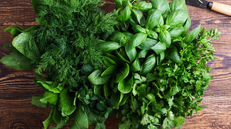 Assortment of fresh herbs