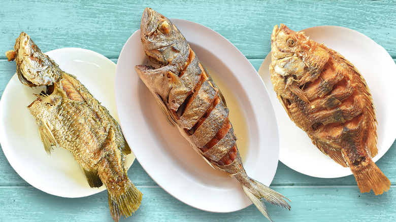 Three types of fried fish on blue background