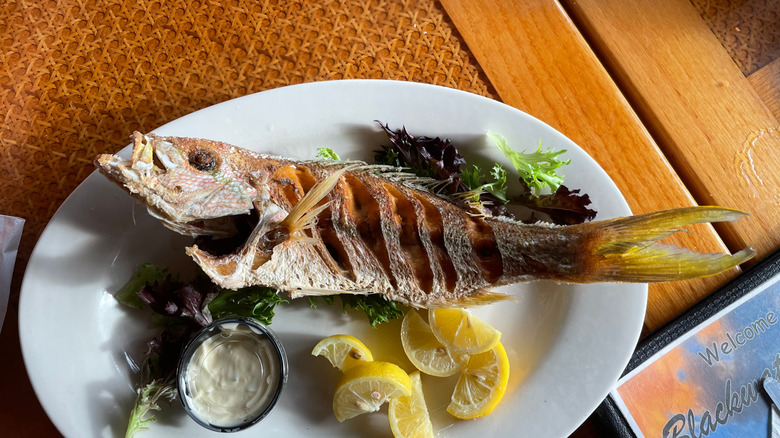 A whole fried yellowtail fish on a plate with lemon and tartar sauce