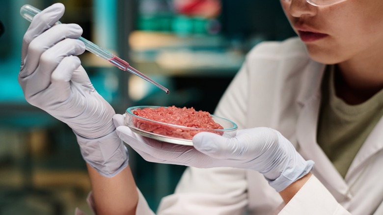 Scientist testing ground beef in a lab