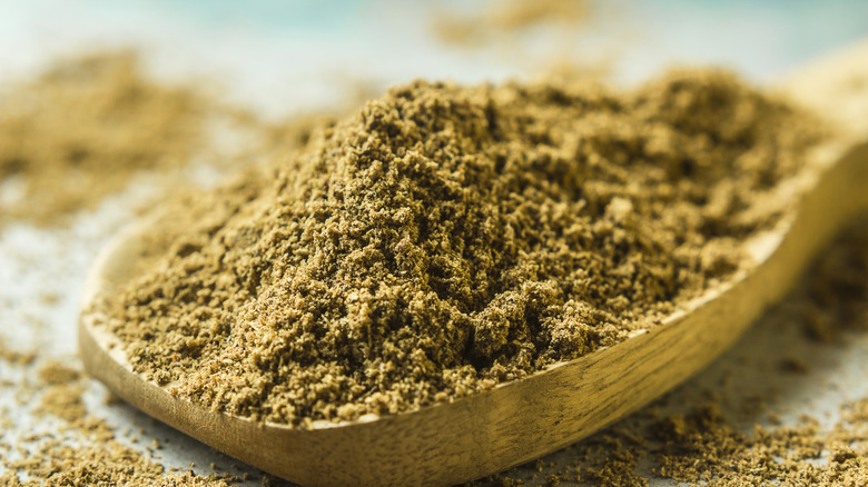 Ground garam masala on a wooden spoon